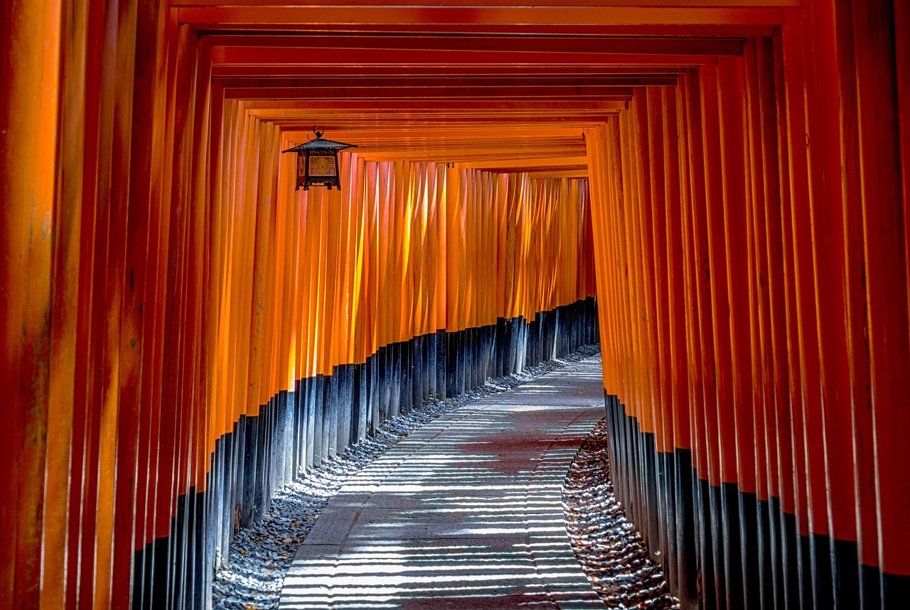 祐徳稲荷神社の見どころを徹底解説しますか？