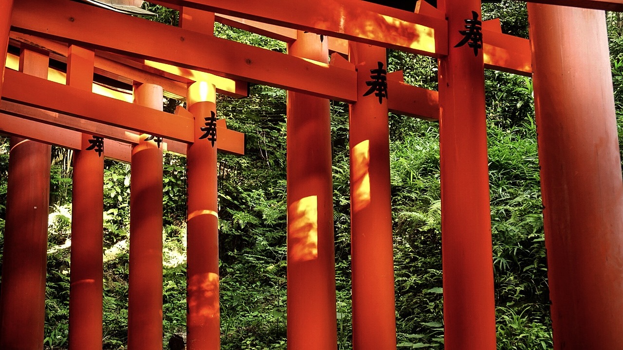 祐徳稲荷神社を巡るおすすめツアーは？
