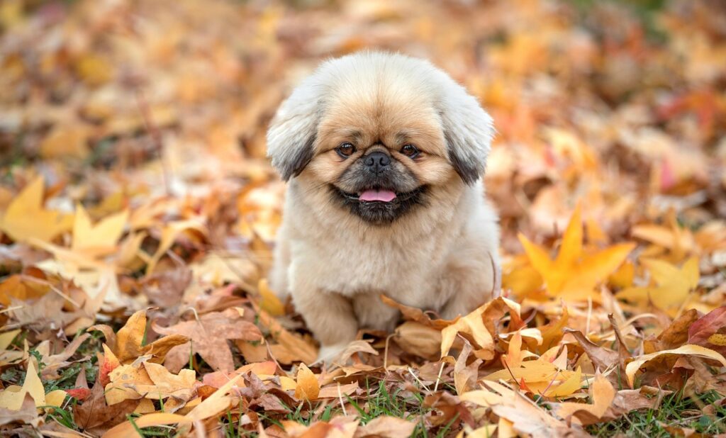 九州で避暑を楽しむためのおすすめスポットは？