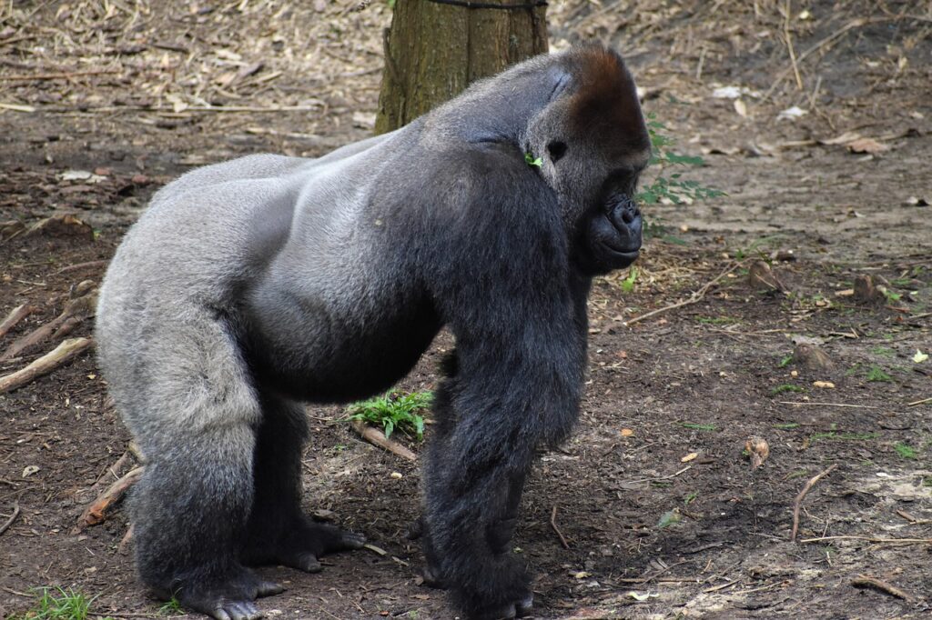 大濠花火大会2025の見どころと楽しみ方は？