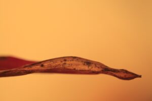 九州のスピリチュアルパワースポットで女子旅におすすめの場所は？