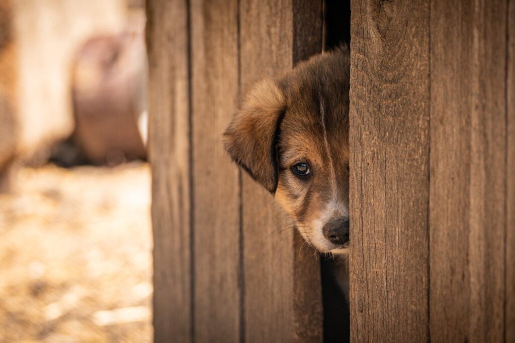 九州での女子一人旅におすすめのファッションポイントは？