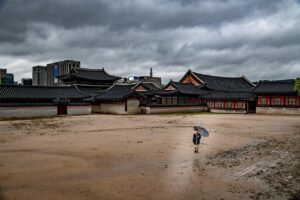 女子の一人旅で訪れるべき九州のご利益がすごい神社はどこ？